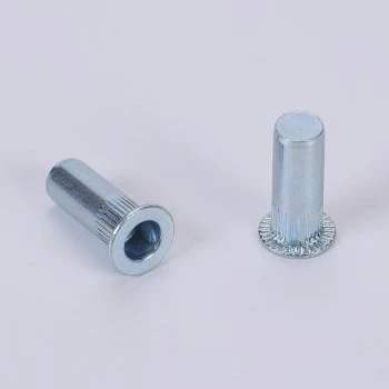 Cuerpo de cabeza plana omboty acero acero remache tuercas .